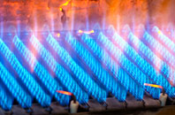 Onich gas fired boilers